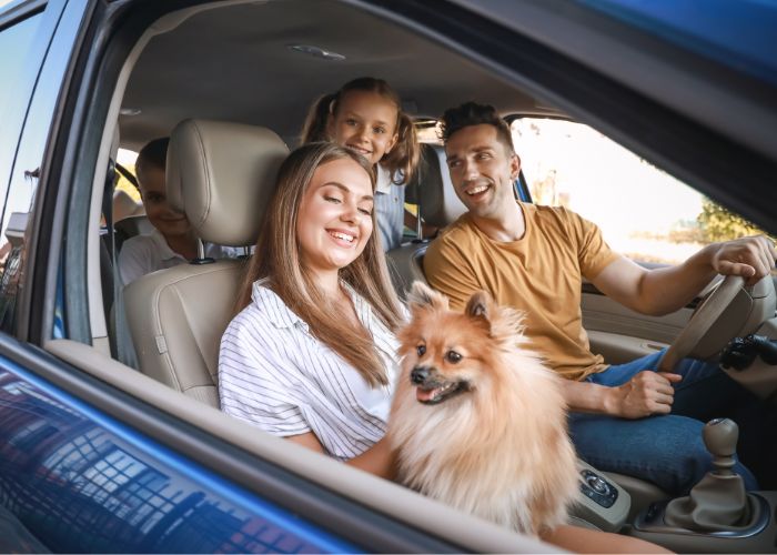 Como Tirar o Atestado PET para uma Viagem